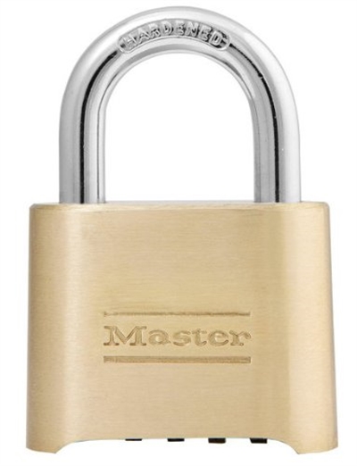 Master-Lock-Company-175D.jpg