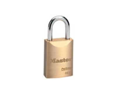 Master-Lock-Company-6830KA10G200.jpg